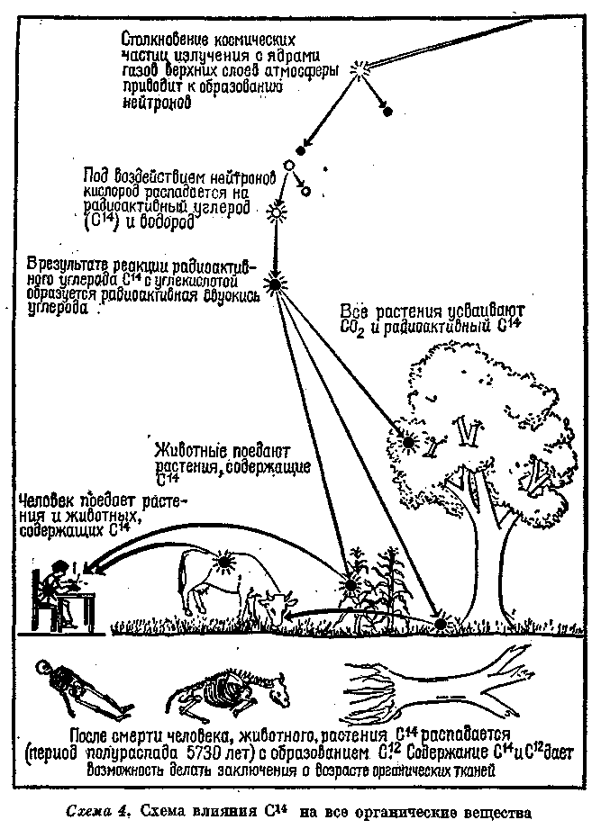 Первый американец. Загадка индейцев доколумбовой эпохи Any2FbImgLoader17.png