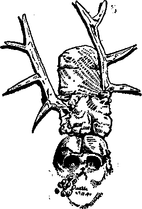 Первый американец. Загадка индейцев доколумбовой эпохи Any2FbImgLoader60.png
