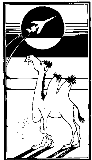 Круги на песке i_011.png