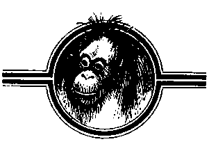 Круги на песке i_015.png