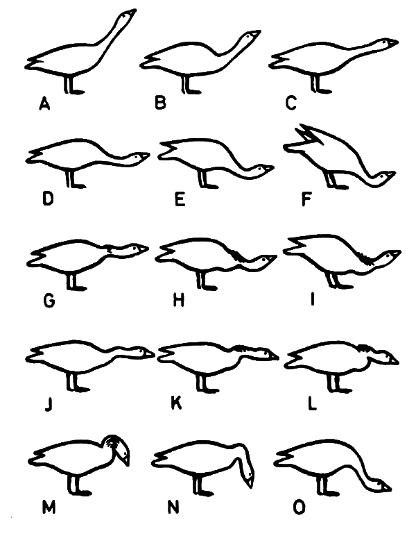 Агрессия _5.png