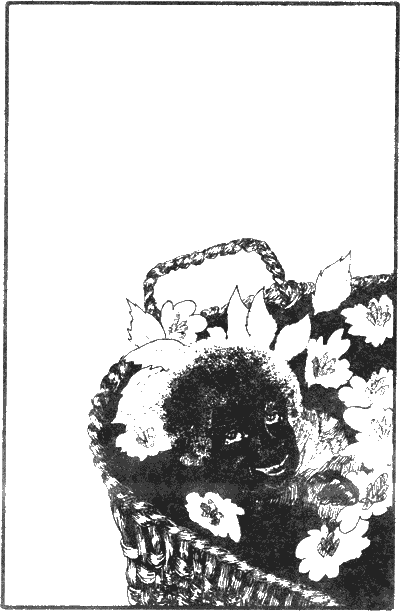 История моих животных Untitled6.png