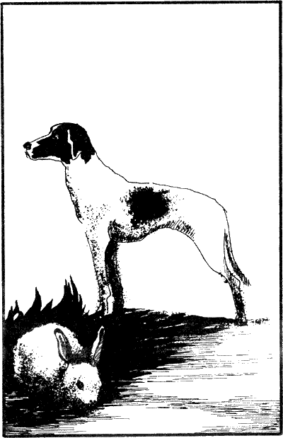 История моих животных Untitled9.png