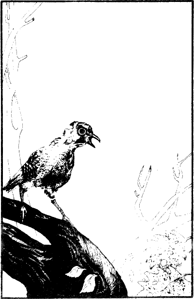 История моих животных Untitled1.png