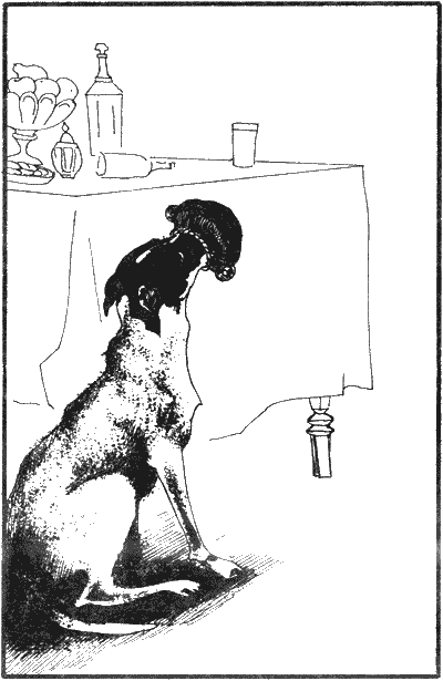 История моих животных Untitled3.png