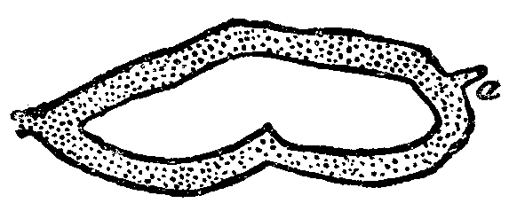 Сообщение Артура Гордона Пима _11.png