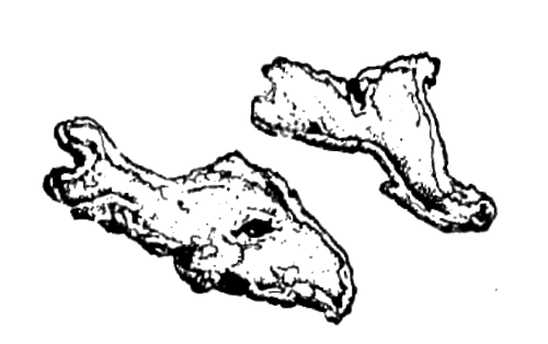 Все о пряностях image005.png