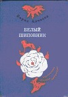 Самый красивый конь (илл.)