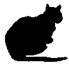 Cat Raise the Dead pic_11.jpg