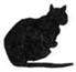Cat Raise the Dead pic_12.jpg