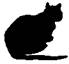 Cat Raise the Dead pic_13.jpg