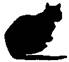 Cat Raise the Dead pic_16.jpg