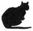 Cat Raise the Dead pic_18.jpg