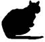 Cat Raise the Dead pic_19.jpg