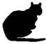 Cat Raise the Dead pic_20.jpg