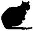 Cat Raise the Dead pic_24.jpg