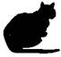 Cat Raise the Dead pic_27.jpg
