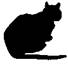 Cat Raise the Dead pic_4.jpg