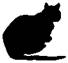 Cat Raise the Dead pic_30.jpg