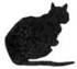 Cat Raise the Dead pic_34.jpg