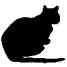 Cat Raise the Dead pic_7.jpg