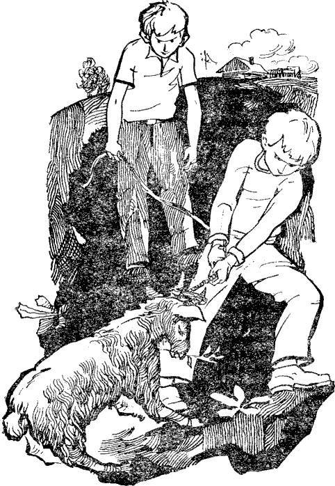 13 историй из жизни Конькова (сборник) i_005.jpg