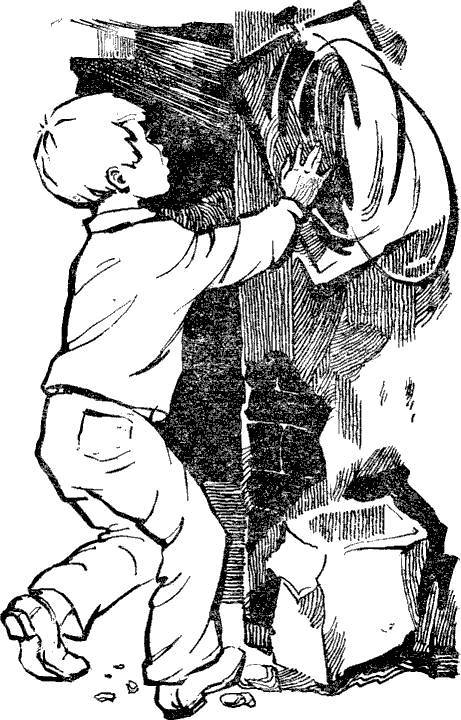 13 историй из жизни Конькова (сборник) i_003.jpg