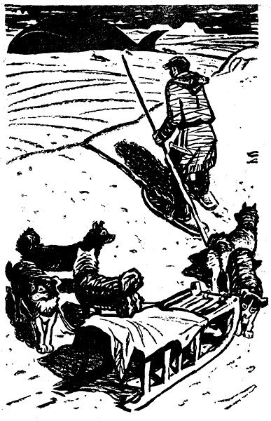 Антымавле — торговый человек i_005.jpg