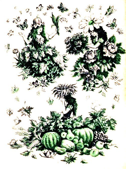 Секрет pic_19.jpg