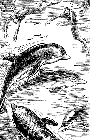 Гінці Нептуна doc2fb_image_03000004.png