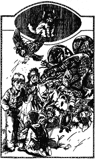 Сто років тому вперед doc2fb_image_03000015.png