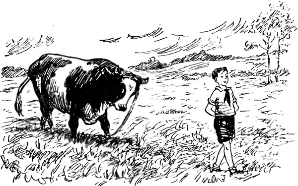 Райкины пленники (сборник) i_010.jpg