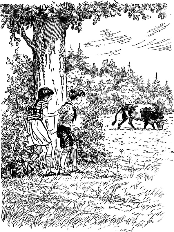 Райкины пленники (сборник) i_011.jpg