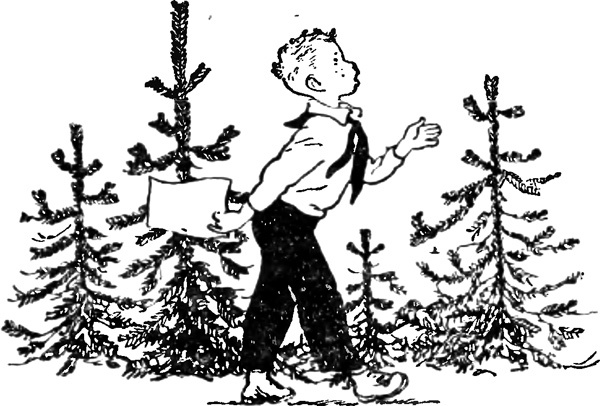 Райкины пленники (сборник) i_005.jpg