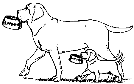 Салют, Варварята! i_007.png