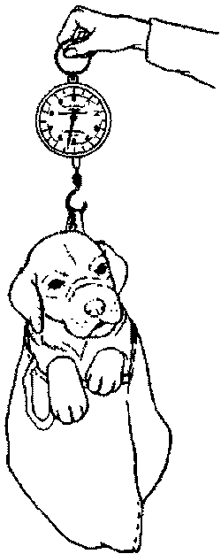 Салют, Варварята! i_012.png