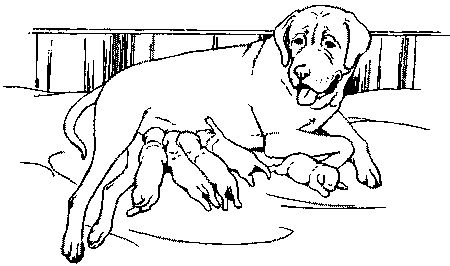 Салют, Варварята! i_003.png