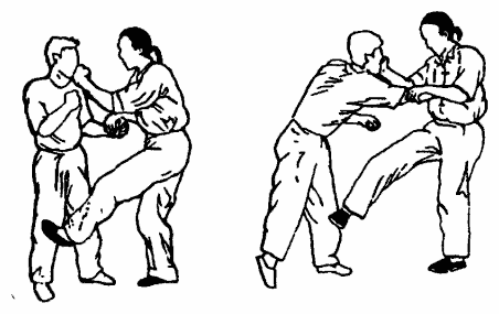 Да-цзе-шу — искусство пресечения боя pic20.png