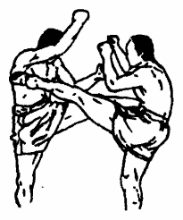 Да-цзе-шу — искусство пресечения боя pic67.png