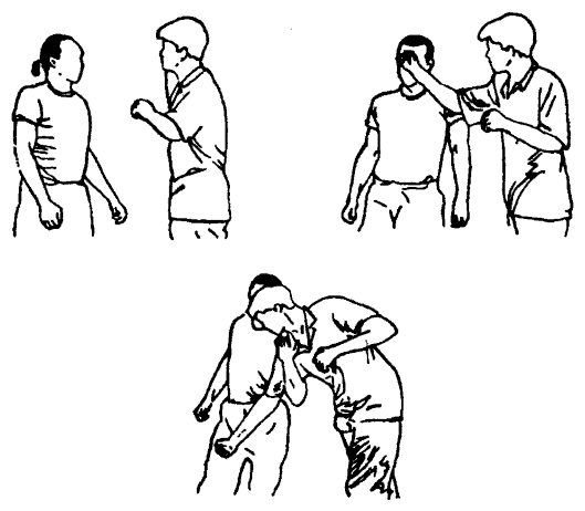 Да-цзе-шу — искусство пресечения боя pic136.png