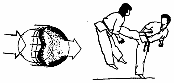 Да-цзе-шу — искусство пресечения боя pic148.png
