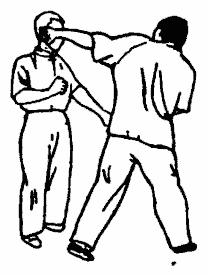 Да-цзе-шу — искусство пресечения боя pic161.png