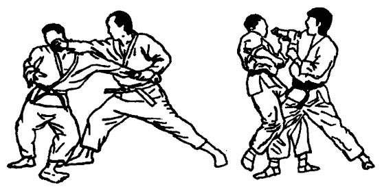 Да-цзе-шу — искусство пресечения боя pic165.png