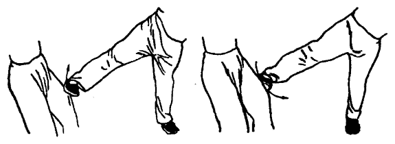 Да-цзе-шу — искусство пресечения боя pic169a.png