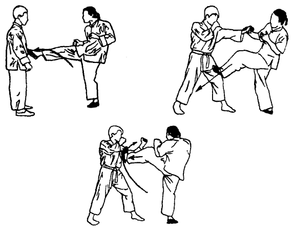 Да-цзе-шу — искусство пресечения боя pic174.png