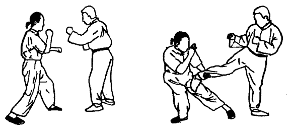 Да-цзе-шу — искусство пресечения боя pic177a.png