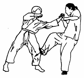 Да-цзе-шу — искусство пресечения боя pic181.png