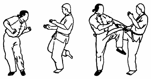 Да-цзе-шу — искусство пресечения боя pic189.png