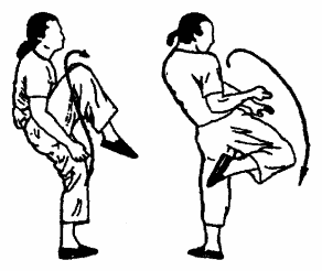 Да-цзе-шу — искусство пресечения боя pic194.png
