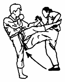 Да-цзе-шу — искусство пресечения боя pic196.png